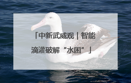中新武威观｜智能滴灌破解“水困”