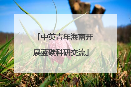 中英青年海南开展蓝碳科研交流