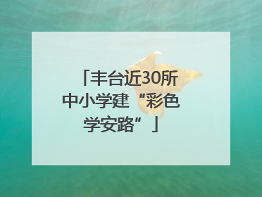 丰台近30所中小学建“彩色学安路”