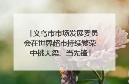 义乌市市场发展委员会在世界超市持续繁荣中挑大梁、当先锋