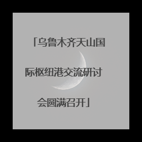 乌鲁木齐天山国际枢纽港交流研讨会圆满召开