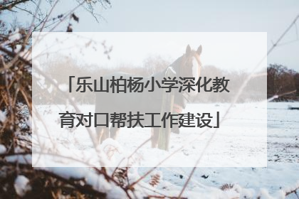 乐山柏杨小学深化教育对口帮扶工作建设