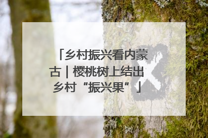 乡村振兴看内蒙古｜樱桃树上结出乡村“振兴果”