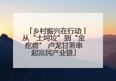 乡村振兴在行动丨从“土坷垃”到“金疙瘩” 卢龙甘薯串起富民产业链