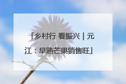 乡村行 看振兴｜元江：早熟芒果销售旺
