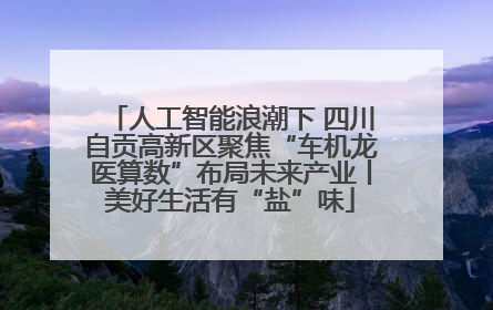 人工智能浪潮下 四川自贡高新区聚焦“车机龙医算数”布局未来产业丨美好生活有“盐”味