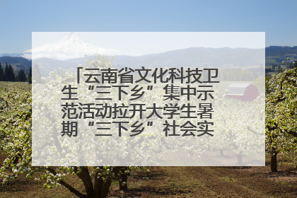 云南省文化科技卫生“三下乡”集中示范活动拉开大学生暑期“三下乡”社会实践活动序幕