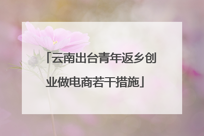 云南出台青年返乡创业做电商若干措施