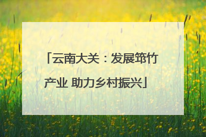 云南大关：发展筇竹产业 助力乡村振兴