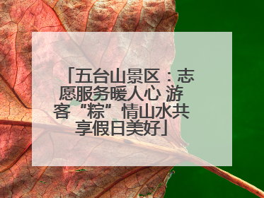五台山景区：志愿服务暖人心 游客“粽”情山水共享假日美好