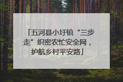 五河县小圩镇“三步走”织密农忙安全网，护航乡村平安路