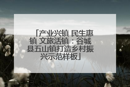 产业兴镇 民生惠镇 文旅活镇：谷城县五山镇打造乡村振兴示范样板