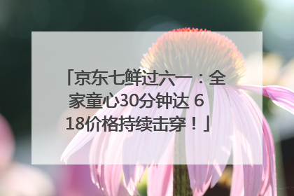 京东七鲜过六一：全家童心30分钟达 618价格持续击穿！