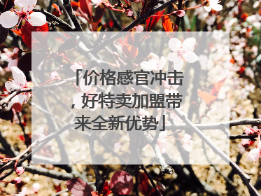 价格感官冲击，好特卖加盟带来全新优势