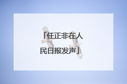 任正非在人民日报发声