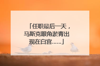 任职最后一天，马斯克眼角淤青出现在白宫……