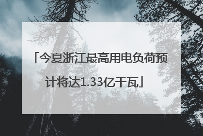 今夏浙江最高用电负荷预计将达1.33亿千瓦