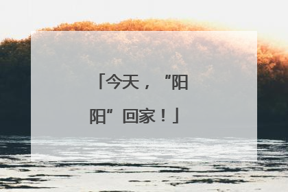 今天，“阳阳”回家！