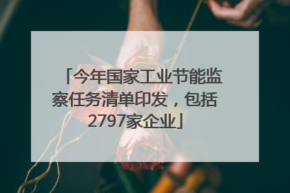 今年国家工业节能监察任务清单印发，包括2797家企业