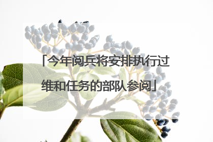 今年阅兵将安排执行过维和任务的部队参阅