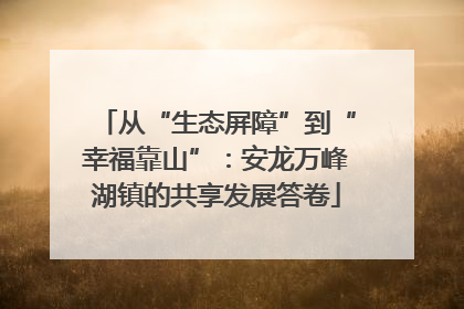 从“生态屏障”到“幸福靠山”：安龙万峰湖镇的共享发展答卷