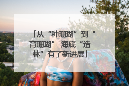 从“种珊瑚”到“育珊瑚” 海底“造林”有了新进展