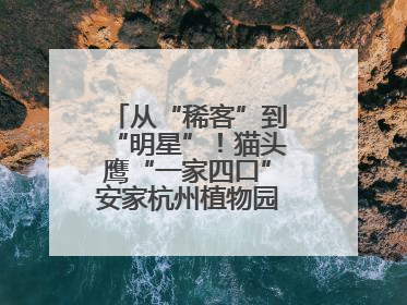 从“稀客”到“明星”！猫头鹰“一家四口”安家杭州植物园背后的守护