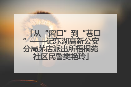 从“窗口”到“巷口”——记东湖高新公安分局茅店派出所梧桐苑社区民警樊艳玲