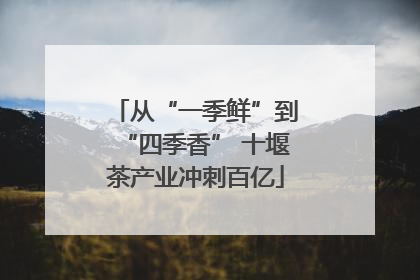 从“一季鲜”到“四季香” 十堰茶产业冲刺百亿