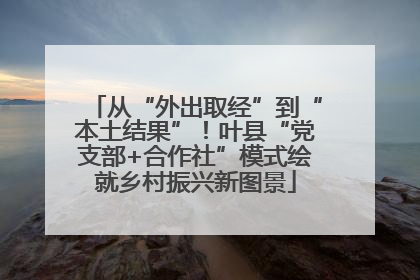 从“外出取经”到“本土结果”！叶县“党支部+合作社”模式绘就乡村振兴新图景