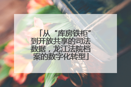 从“库房铁柜”到开放共享的司法数据，龙江法院档案的数字化转型