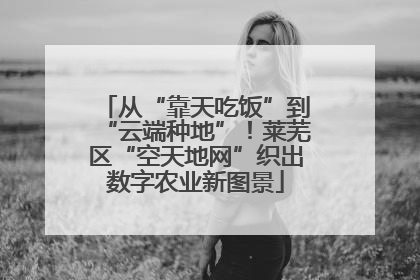 从“靠天吃饭”到“云端种地”！莱芜区“空天地网”织出数字农业新图景