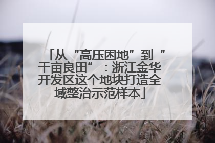 从“高压困地”到“千亩良田”：浙江金华开发区这个地块打造全域整治示范样本