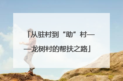 从驻村到“助”村——龙树村的帮扶之路