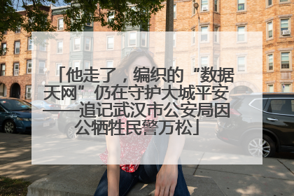 他走了，编织的“数据天网”仍在守护大城平安——追记武汉市公安局因公牺牲民警万松