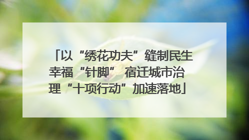 以“绣花功夫”缝制民生幸福“针脚” 宿迁城市治理“十项行动”加速落地