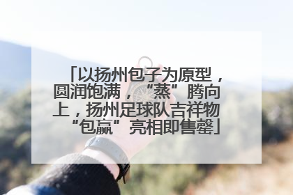 以扬州包子为原型，圆润饱满，“蒸”腾向上，扬州足球队吉祥物“包赢”亮相即售罄