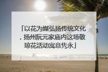 以花为媒弘扬传统文化，扬州阮元家庙内这场敬琼花活动寓意隽永