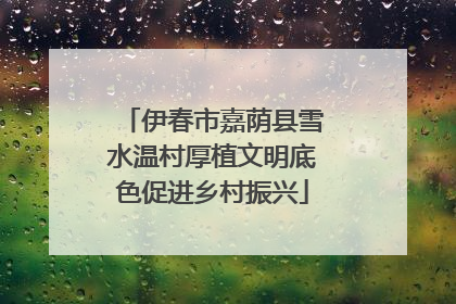 伊春市嘉荫县雪水温村厚植文明底色促进乡村振兴