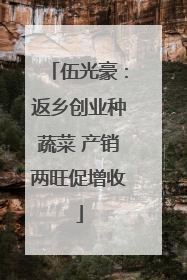 伍光豪：返乡创业种蔬菜 产销两旺促增收