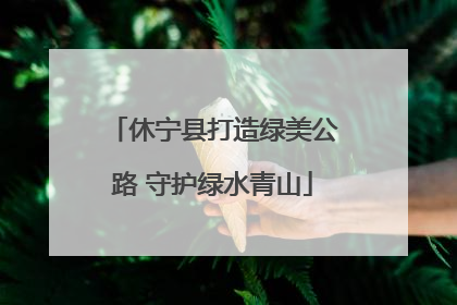 休宁县打造绿美公路 守护绿水青山