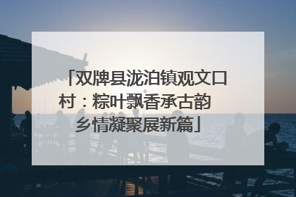双牌县泷泊镇观文口村：粽叶飘香承古韵 乡情凝聚展新篇