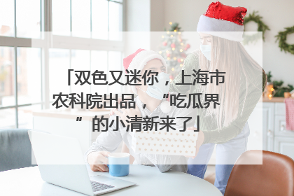 双色又迷你，上海市农科院出品，“吃瓜界”的小清新来了
