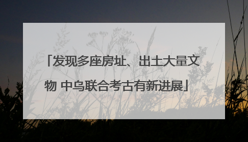 发现多座房址、出土大量文物 中乌联合考古有新进展