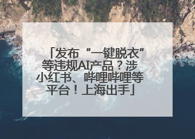 发布“一键脱衣”等违规AI产品？涉小红书、哔哩哔哩等平台！上海出手
