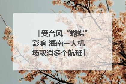 受台风“蝴蝶”影响 海南三大机场取消多个航班