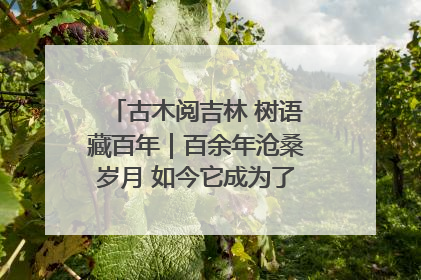 古木阅吉林 树语藏百年｜百余年沧桑岁月 如今它成为了“镇园之宝”