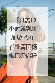 只需17小时就到新加坡 今年首批青田杨梅已经启程