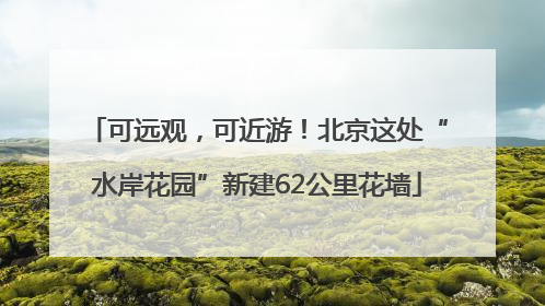 可远观，可近游！北京这处“水岸花园”新建62公里花墙
