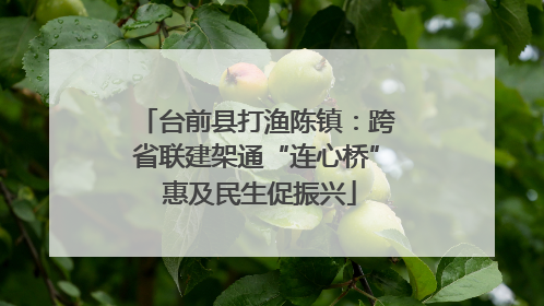 台前县打渔陈镇：跨省联建架通“连心桥” 惠及民生促振兴